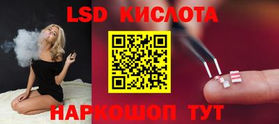 СК Дмитров