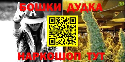 СК Дмитров