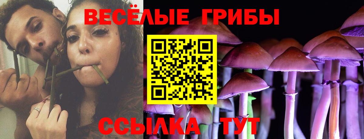 Галлюциногенные грибы мухоморы Ртищево